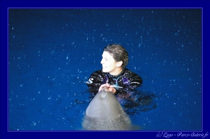 Marineland - 012