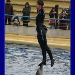 Marineland - Dauphins - Spectacle 14h45