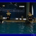 Marineland - 012