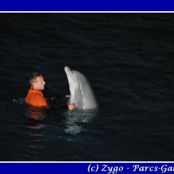 Marineland - Dauphins - Casse Noisette