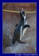 Marineland - 004