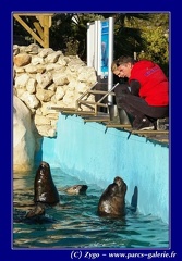 Marineland - 001