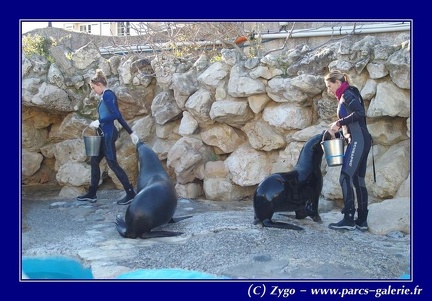 Marineland - 002