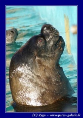 Marineland - 012