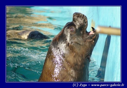 Marineland - 014