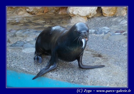 Marineland - 015