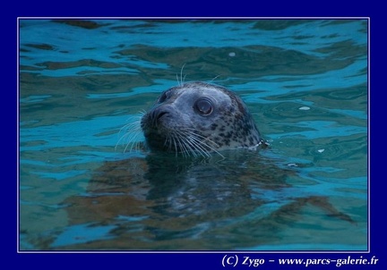 Marineland - 004