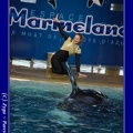 Marineland - 011