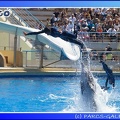 Marineland - Dauphins - Spectacle - 14h00 - 0011