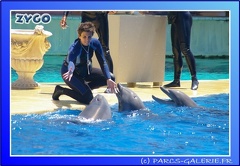 Marineland - Dauphins - Spectacle - 14h00 - 0012