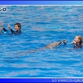 Marineland - Dauphins - Spectacle - 14h00 - 0013