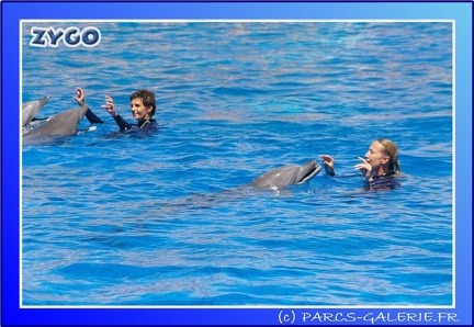 Marineland - Dauphins - Spectacle - 14h00 - 0013