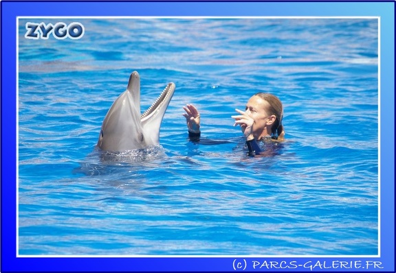 Marineland - Dauphins - Spectacle - 14h00 - 0014