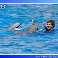 Marineland - Dauphins - Spectacle - 14h00 - 0015