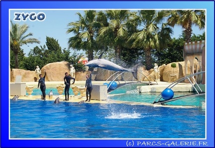 Marineland - Dauphins - Spectacle - 14h00 - 0019