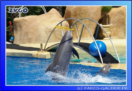 Marineland - Dauphins - Spectacle - 14h00 - 0022