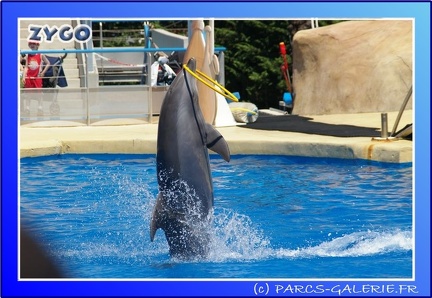 Marineland - Dauphins - Spectacle - 14h00 - 0023