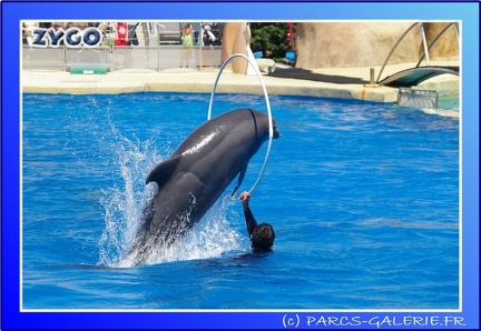 Marineland - Dauphins - Spectacle - 14h00 - 0024