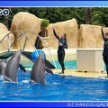 Marineland - Dauphins - Spectacle - 14h00 - 0025