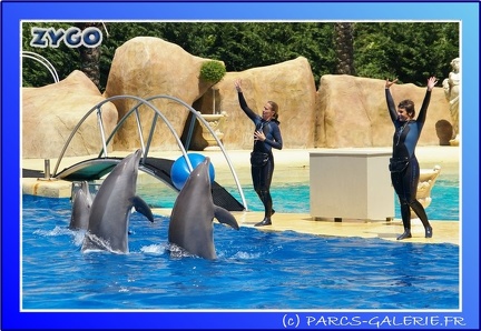 Marineland - Dauphins - Spectacle - 14h00 - 0025