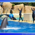 Marineland - Dauphins - Spectacle - 14h00 - 0026
