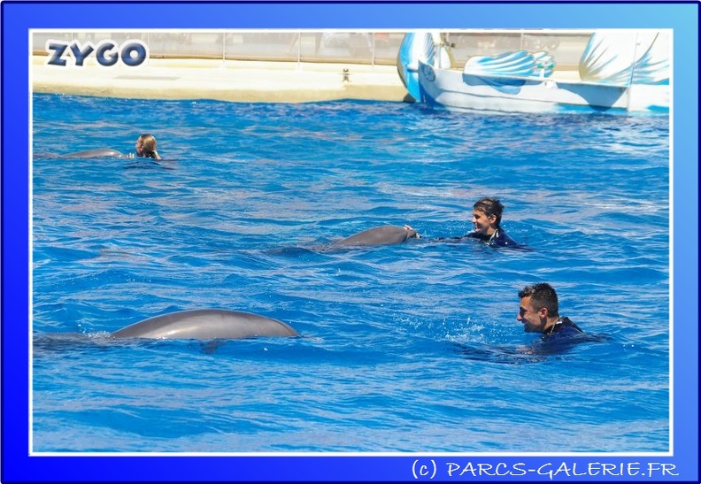 Marineland - Dauphins - Spectacle - 14h00 - 0027