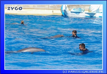 Marineland - Dauphins - Spectacle - 14h00 - 0027