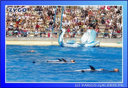 Marineland - Dauphins - Spectacle - 14h00 - 0028