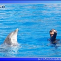 Marineland - Dauphins - Spectacle - 14h00 - 0031