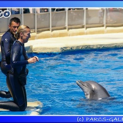 Marineland - Dauphins - Spectacle - 14h00