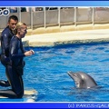 Marineland - Dauphins - Spectacle - 14h00 - 0032