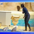 Marineland - Dauphins - Spectacle - 14h00 - 0033