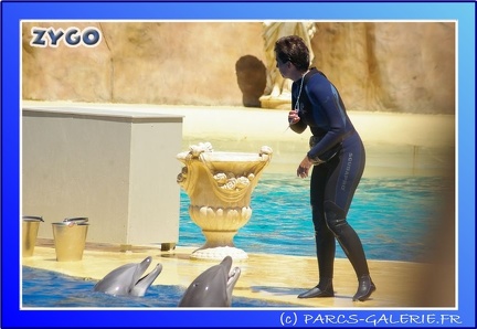 Marineland - Dauphins - Spectacle - 14h00 - 0033