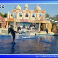 Marineland - Dauphins - Spectacle - 17h45 - 0046
