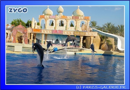 Marineland - Dauphins - Spectacle - 17h45 - 0046