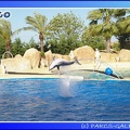 Marineland - Dauphins - Spectacle - 17h45 - 0048