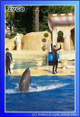 Marineland - Dauphins - Spectacle - 17h45 - 0050