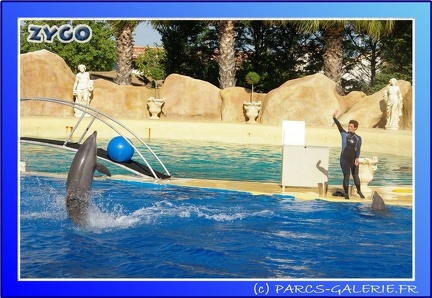 Marineland - Dauphins - Spectacle - 17h45 - 0051