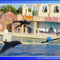 Marineland - Dauphins - Spectacle - 17h45 - 0052