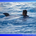Marineland - Dauphins - Spectacle - 17h45 - 0055