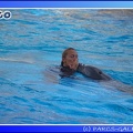 Marineland - Dauphins - Spectacle - 17h45 - 0057