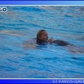 Marineland - Dauphins - Spectacle - 17h45 - 0058