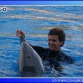 Marineland - Dauphins - Spectacle - 17h45 - 0059