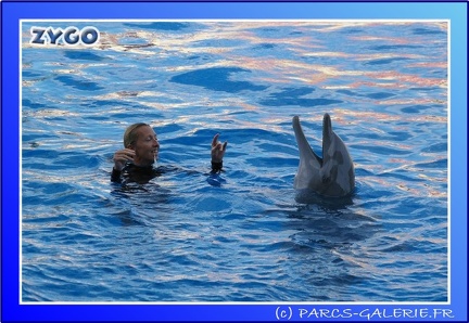 Marineland - Dauphins - Spectacle - 17h45 - 0063