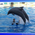 Marineland - Dauphins - Spectacle - 17h45 - 0065