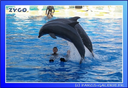 Marineland - Dauphins - Spectacle - 17h45 - 0065