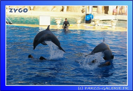Marineland - Dauphins - Spectacle - 17h45 - 0066