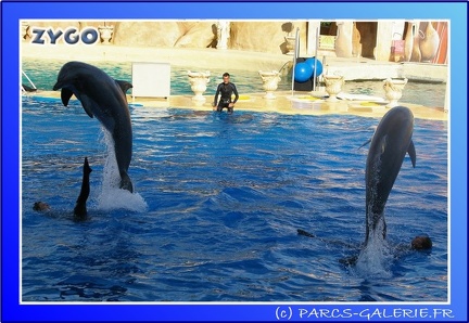 Marineland - Dauphins - Spectacle - 17h45 - 0067