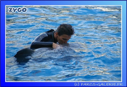 Marineland - Dauphins - Spectacle - 17h45 - 0068