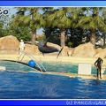 Marineland - Dauphins - Spectacle - 17h45 - 0069